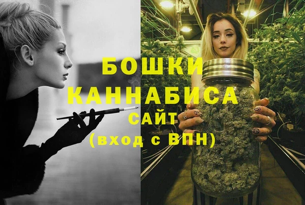 бутират Горнозаводск