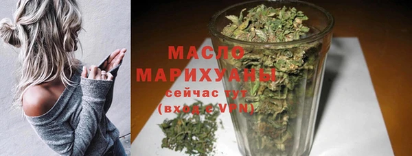 индика Покачи