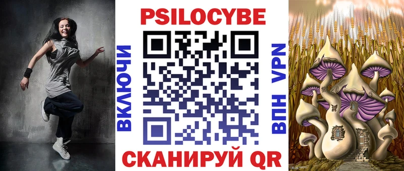 Галлюциногенные грибы Psilocybe  Калач 